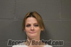 Recent Mugshot Image for Danica Lynn Saville-wiser in Camden County, Missouri