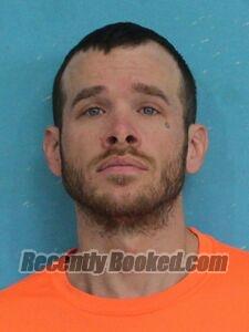 Recent Mugshot Image for DAVID BILER in Cape Girardeau County, Missouri