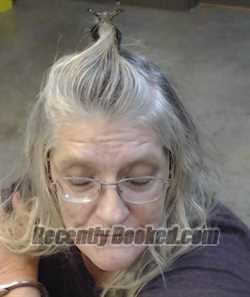 Recent Mugshot Image for DONNA PITTS in Cedar County, Missouri