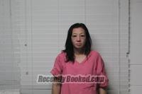 Recent Mugshot Image for BRANDI NICHOLE MEEKS in Christian County, Missouri