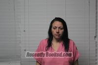 Recent Mugshot Image for HEATHER LYNN in Christian County, Missouri