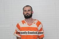 Recent Mugshot Image for TANNER MICHAEL STEWART in Christian County, Missouri