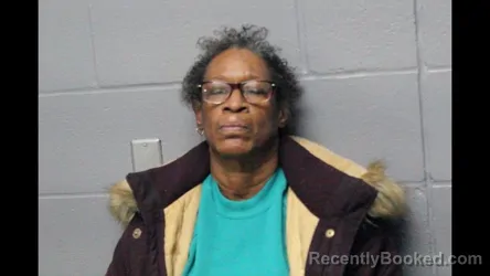 Recent Mugshot Image for MAXINE HOLMES in Cooper County, Missouri