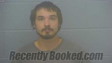 Recent Mugshot Image for DAKOTA DAVID BRADT in Greene County, Missouri