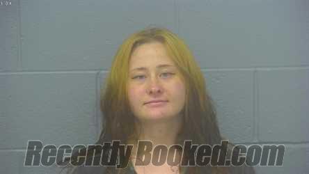 Recent Booking / Mugshot for DEANNA MARIE METZ in Greene County, Missouri