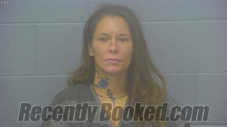 Recent Mugshot Image for JEANNIE MARIE BARTNIK in Greene County, Missouri