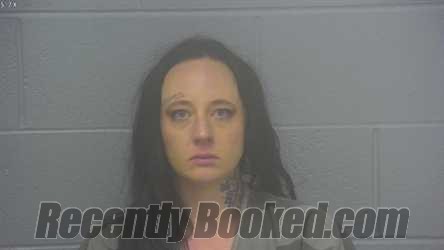 Recent Mugshot Image for KASANDRA RACHELLE FLANERY in Greene County, Missouri