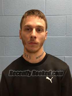 Recent Mugshot Image for VLADIMIR MICHEAL STRYKA in Henry County, Missouri