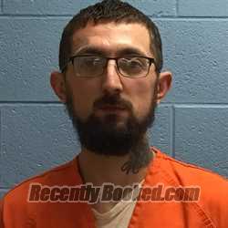 Recent Mugshot Image for DYLAN NMI FORD in Henry County, Missouri