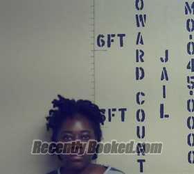 Recent Mugshot Image for DANIELLE HUGHES in Howard County, Missouri