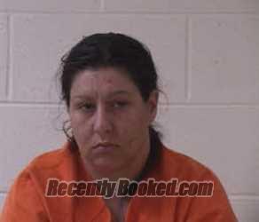 Recent Mugshot Image for ASHLEY NICHOLE CHU in Yancey County, North Carolina