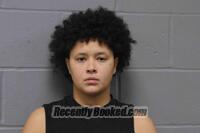 Recent Mugshot Image for AMYA MARIE TREVINO in Johnson County, Missouri