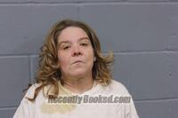 Recent Mugshot Image for AMY R NAYLOR in Johnson County, Missouri