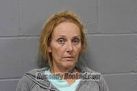 Recent Mugshot Image for MELISSA RAE REYNOLDS in Johnson County, Missouri