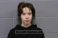 Recent Mugshot Image for LYDIA ZIPPORAH WELCH in Johnson County, Missouri