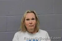 Recent Mugshot Image for KIMBERLY DEANNE BURNS in Johnson County, Missouri