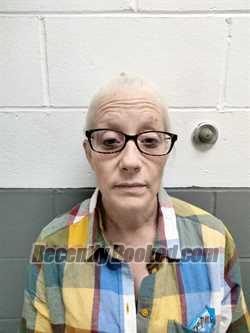 Recent Booking / Mugshot for JENNIFER JEAN RULO in Lincoln County, Missouri