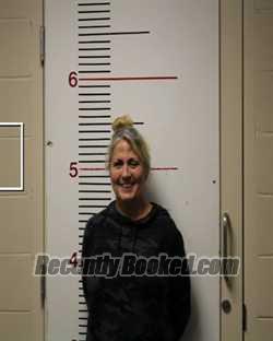 Recent Mugshot Image for MICHELE DIANE TILLMAN in Anderson County, Texas