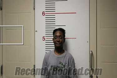 Recent Mugshot Image for SANRONA RENNA REDIC in Anderson County, Texas