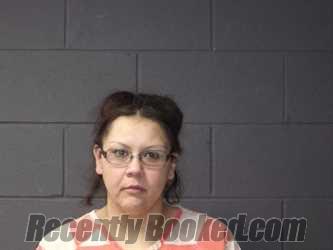 Recent Mugshot Image for Brandie Megan Clouse in McDonald County, Missouri