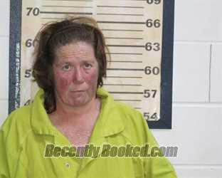 Recent Mugshot Image for MELISSA JEAN WALKER in Mississippi County, Missouri