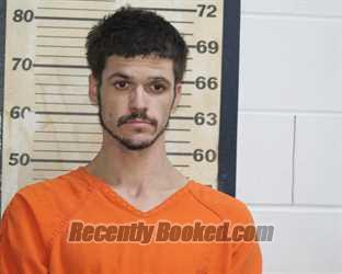 Recent Mugshot Image for DUSTIN WILSON in Mississippi County, Missouri