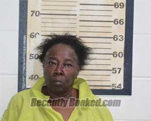 Recent Mugshot Image for SALLIE JONES in Mississippi County, Missouri
