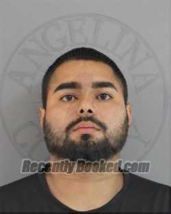 Recent Mugshot Image for FERNANDO MUNIZ in Angelina County, Texas