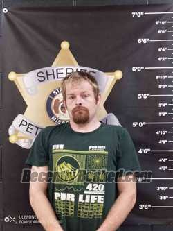 Recent Mugshot Image for RYAN NEWLAND in Pettis County, Missouri