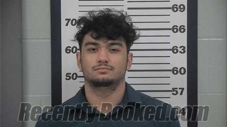 Recent Mugshot Image for ANTHONY V FURNARI in Platte County, Missouri