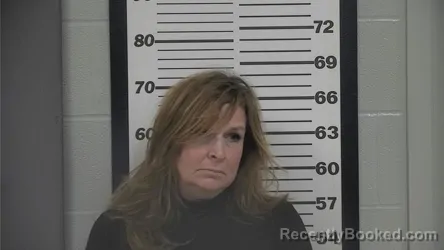 Recent Mugshot Image for ERIN E BRODEN in Platte County, Missouri