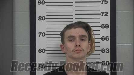 Recent Mugshot Image for JOHNATHAN TODD BURCHETTE in Platte County, Missouri