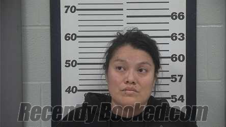 Recent Mugshot Image for JOANNE M DODGE in Platte County, Missouri