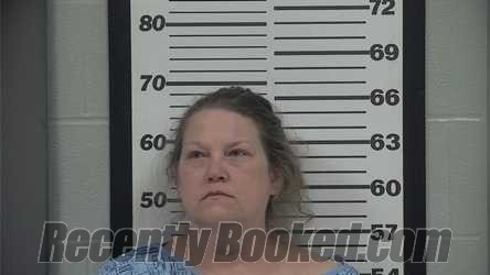 Recent Mugshot Image for JULIE C ROMO in Platte County, Missouri