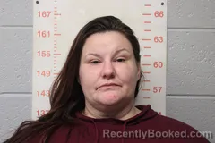 Recent Mugshot Image for RACHEL ELAINE HICKS in Polk County, Missouri