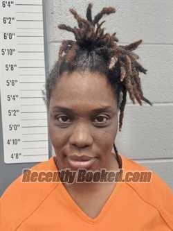 Recent Mugshot Image for CHAKA ANNETTE HOWARD in Scott County, Missouri