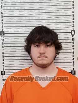 Recent Mugshot Image for DELOTES LEE BURTON in Scott County, Missouri