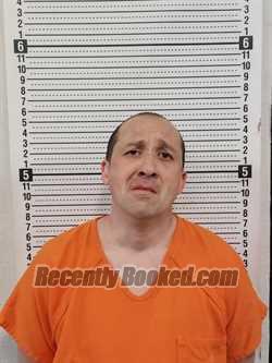 Recent Mugshot Image for DAVID M BOLLINGER in Scott County, Missouri