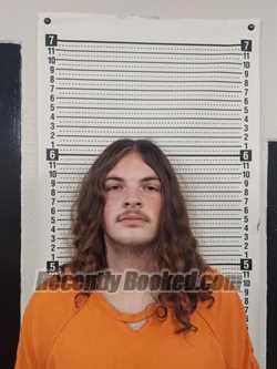 Recent Mugshot Image for LOUIS DEWAYNE WOODS in Scott County, Missouri