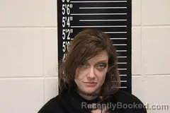 Recent Mugshot Image for Miranda Hailey Pliler in Stone County, Missouri