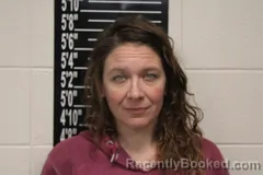 Recent Mugshot Image for Erin Rene Price in Stone County, Missouri