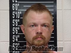 Recent Booking / Mugshot for Kodie William Nelson in Stone County, Missouri