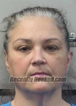 Recent Mugshot Image for JAMIE LEIGH NORRIS in Gulf County, Florida