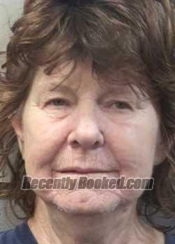 Recent Mugshot Image for DIANA LYNNE SATTERFIELD in Gulf County, Florida