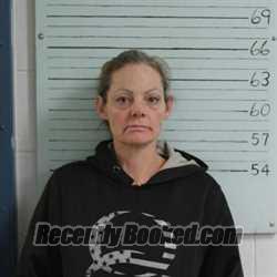 Recent Mugshot Image for NICOLA BORROWMAN in Ravalli County, Montana