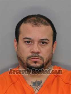 Recent Mugshot Image for ELVIS L CUNNINGHAM in Buffalo County, Nebraska