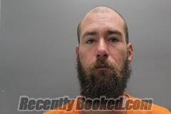 Recent Mugshot Image for TAYLOR SHANKS in Cass County, Nebraska