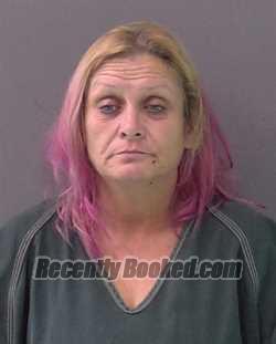 Recent Mugshot Image for DULCIE FRANCINE SHULER in Bell County, Texas