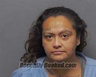 Recent Mugshot Image for YVONNE N BUSTILLOS in Bexar County, Texas