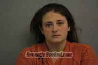 Recent Mugshot Image for Ayle Jo Nelson in Madison County, Nebraska
